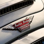 Austin-Healey 3000 badge on carphile.co.uk