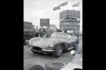 Pit and Paddock Book by Peter Darley. Find out more at carphile
