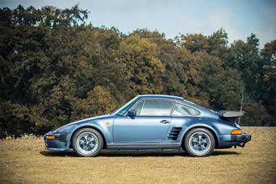 930_Flatnose_side